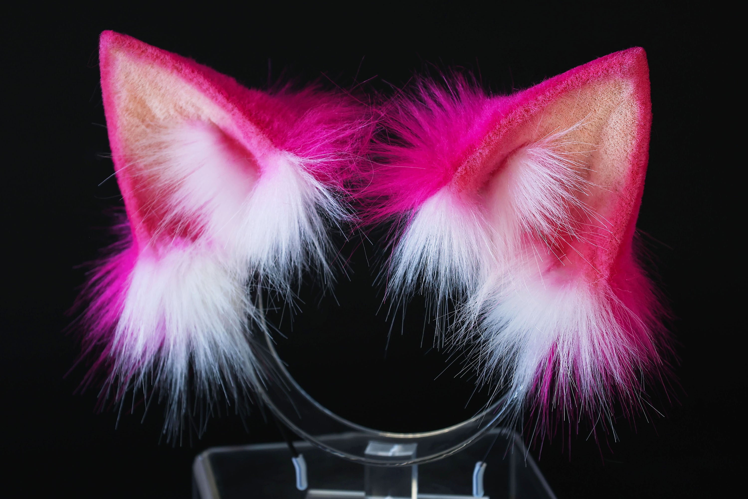Cheshire cat ear and tail - Alice In Wonderland rose red purple stripes cheshire cat tail and ear cosplay therian kitten kemonomimi furry