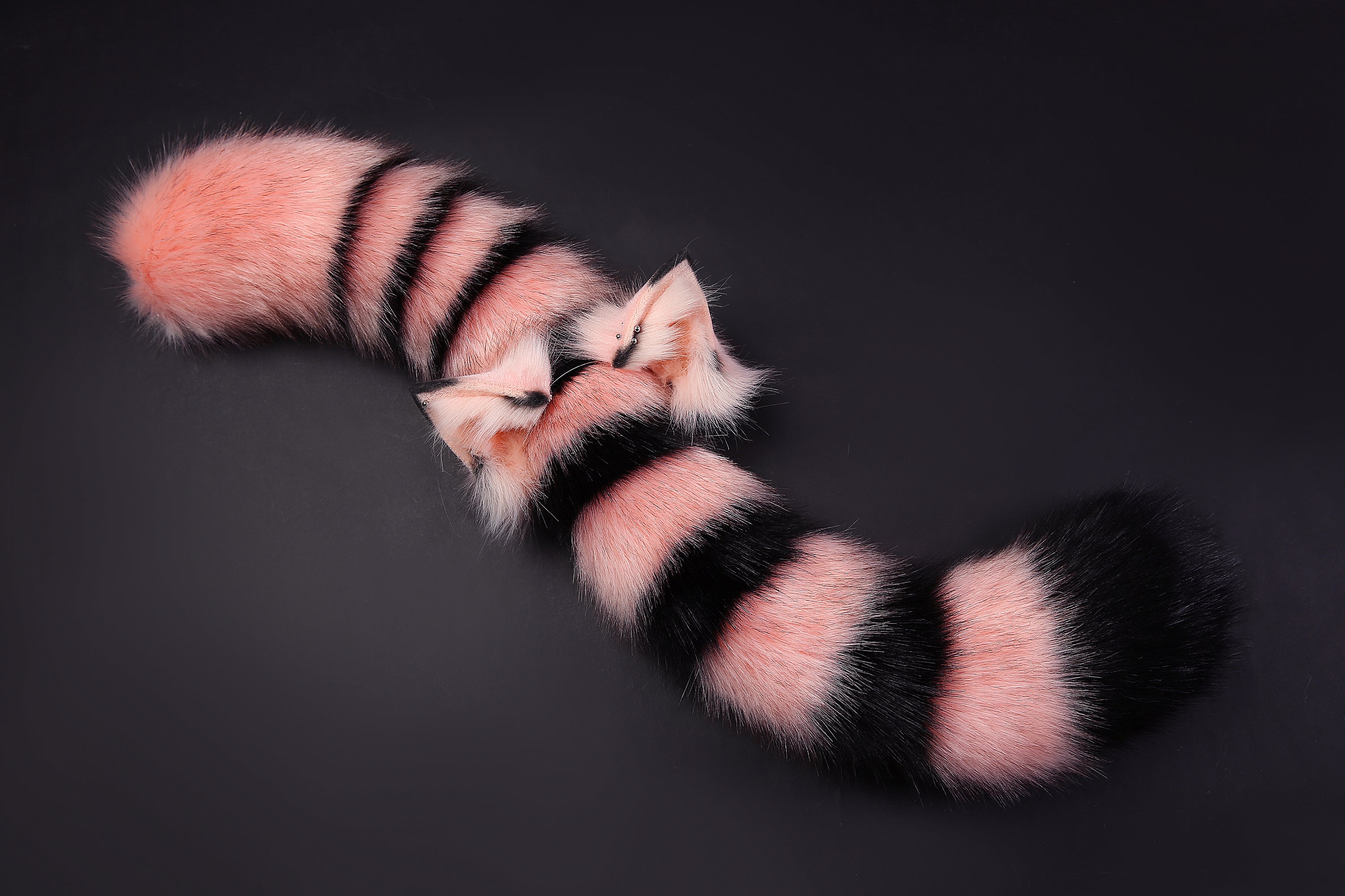 Cat ear and tail plug set kitten tug tail plug and ear set anime cosplay ear and tail set petplay set kittenplay ear Christmas gift mature