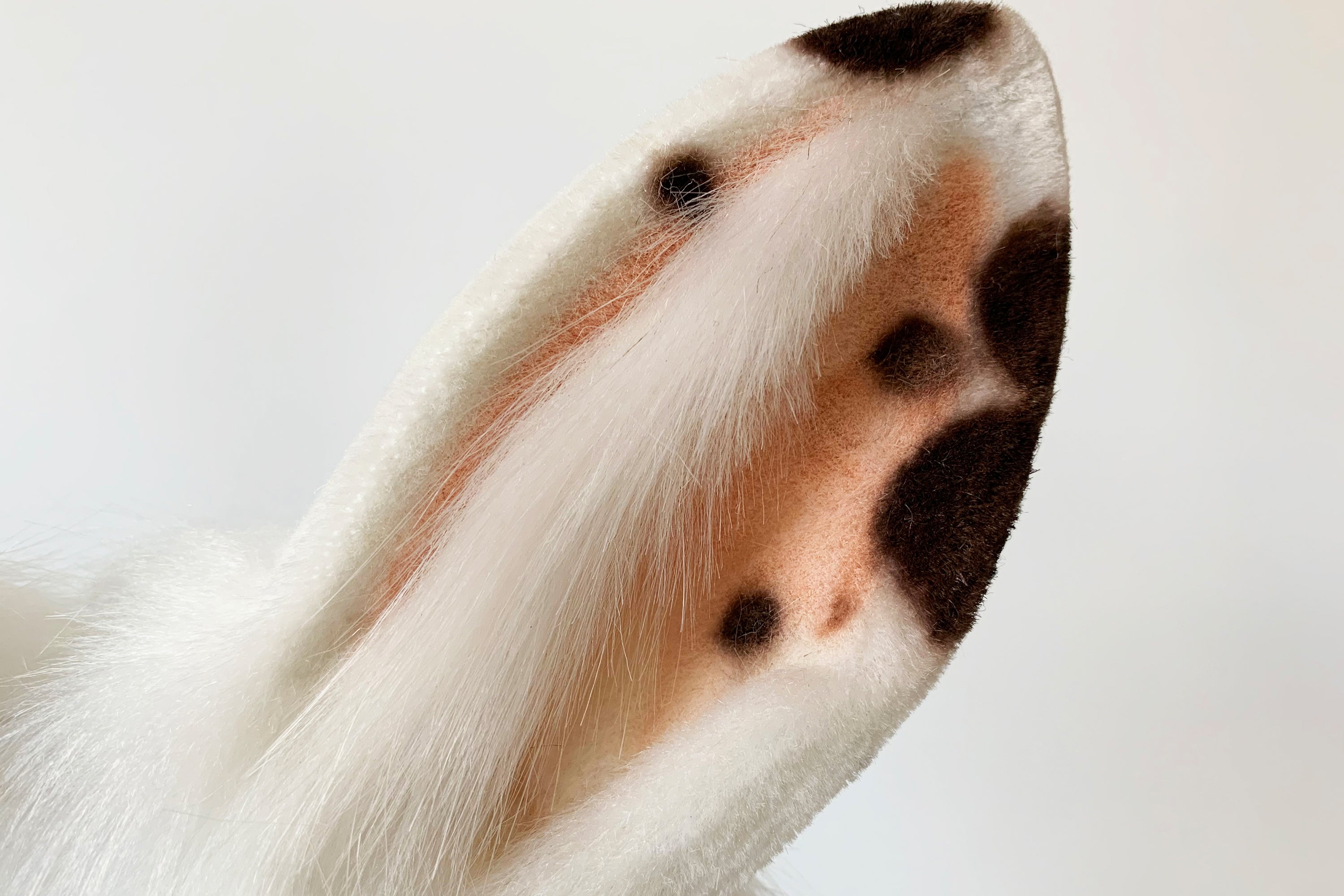 brown spot white bunny tail plug and ear set kemonomimi rabbit tail butt plug and ear set cosplay ear anime sextoy petplay