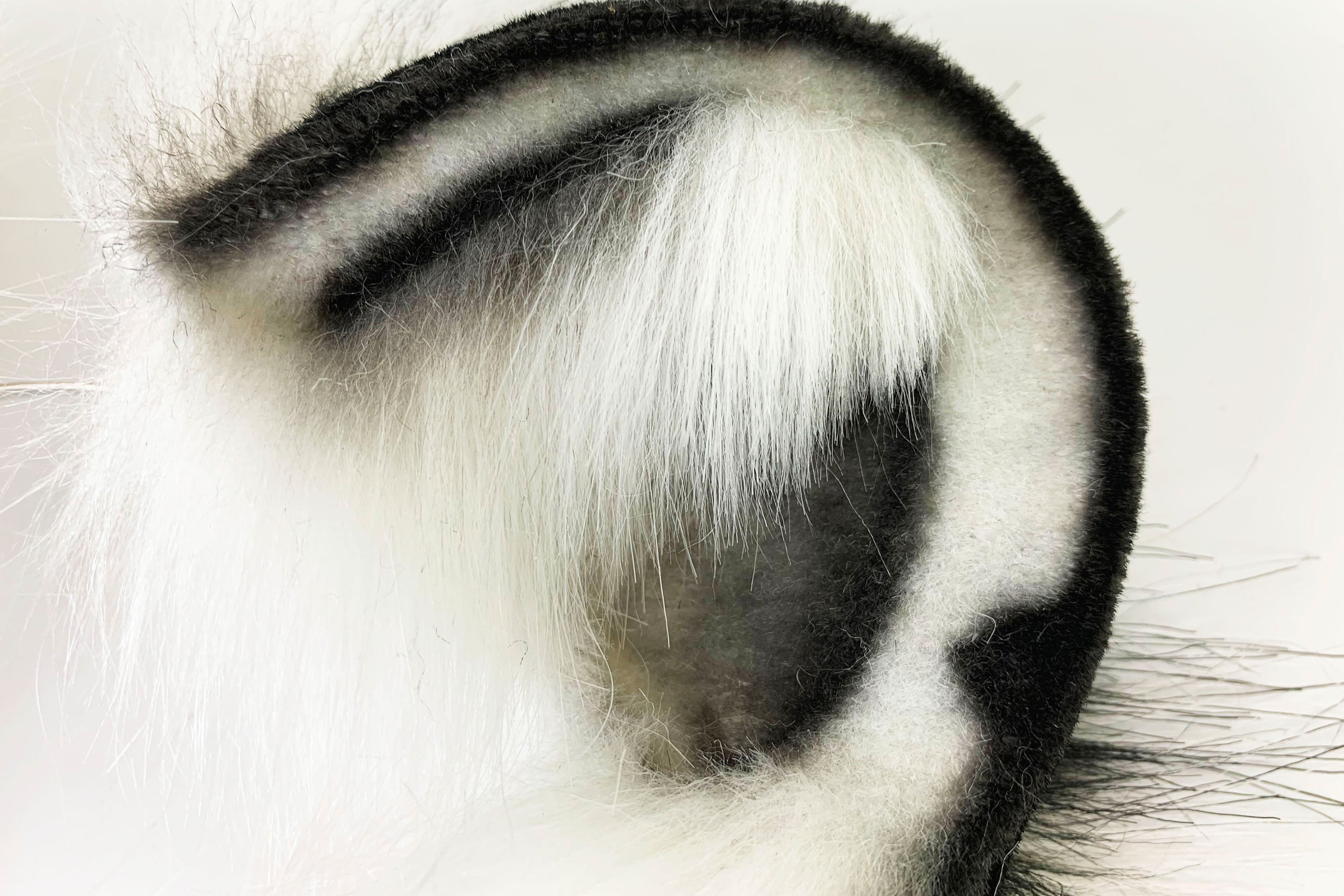 white tiger ear and tail plug set tug tail plug and ear set anime cosplay ear and tail set petplay set anal tail Valentine Day gift mature