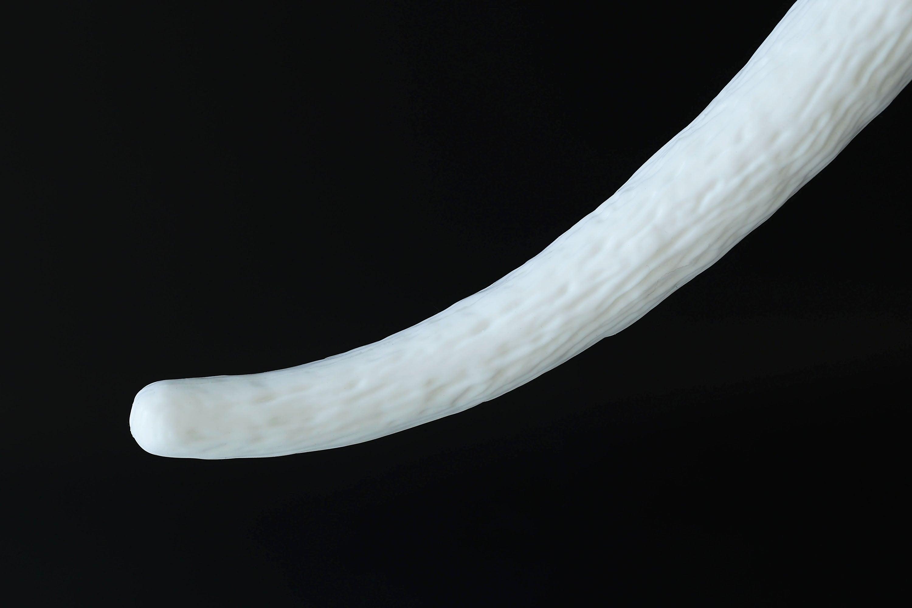 Hypermotion tail silicone core with secure leather holster hyper motion tail wagging tail kemonomimi therian silicone core tail supermotion
