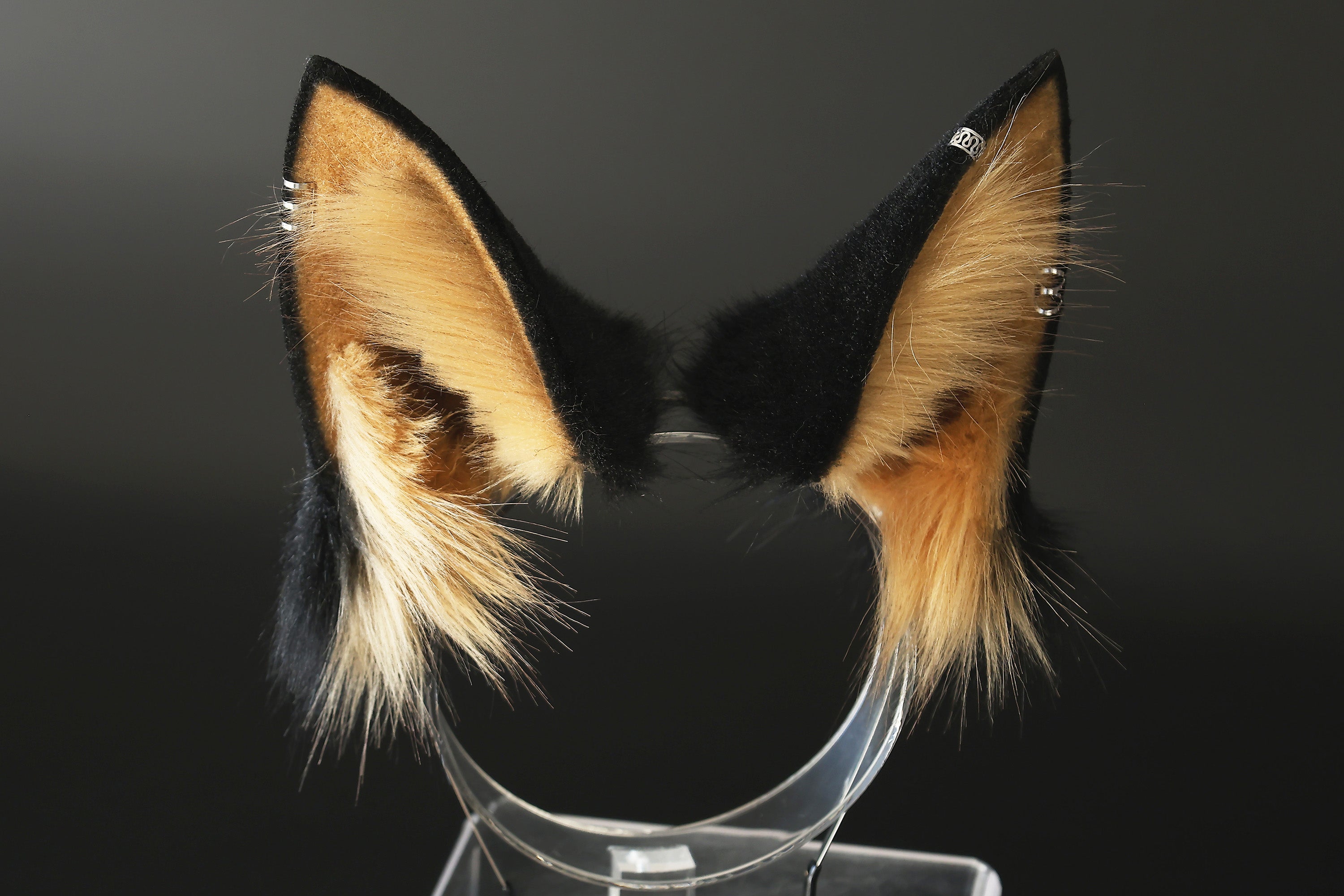 German shepherd dog tail and ear alsatian wolf dog faux fur furry shiba Inu dog ears and tail butt plug petplay puppy kemonomimi animal cosplay wolf therian