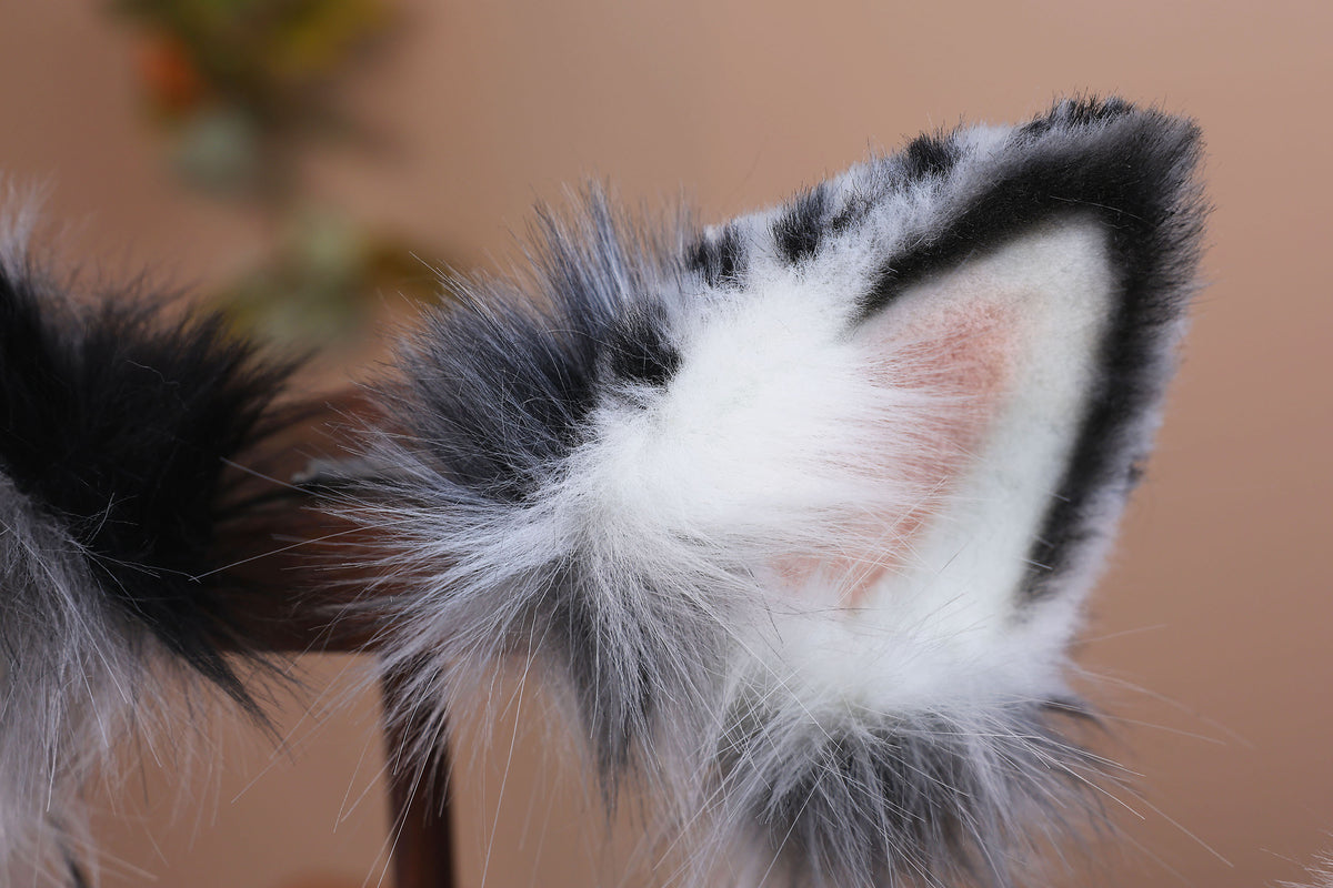 Blue merle border collie dog tail and ear realistic faux fur dog ear and tail anime cosplay therian puppy ear and tail butt plug dog kemonomimi furry