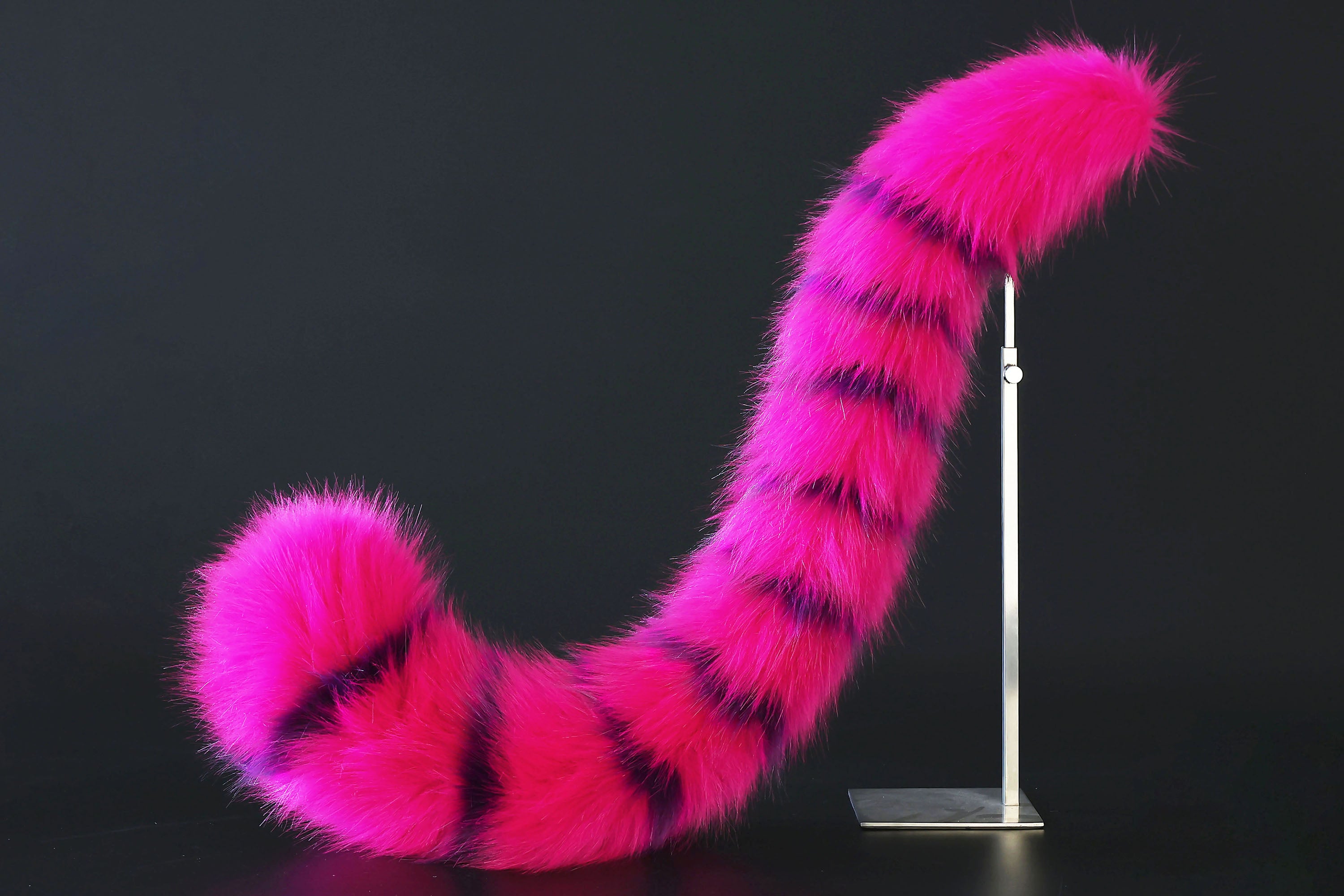Cheshire cat ear and tail - Alice In Wonderland rose red purple stripes cheshire cat tail and ear cosplay therian kitten kemonomimi furry