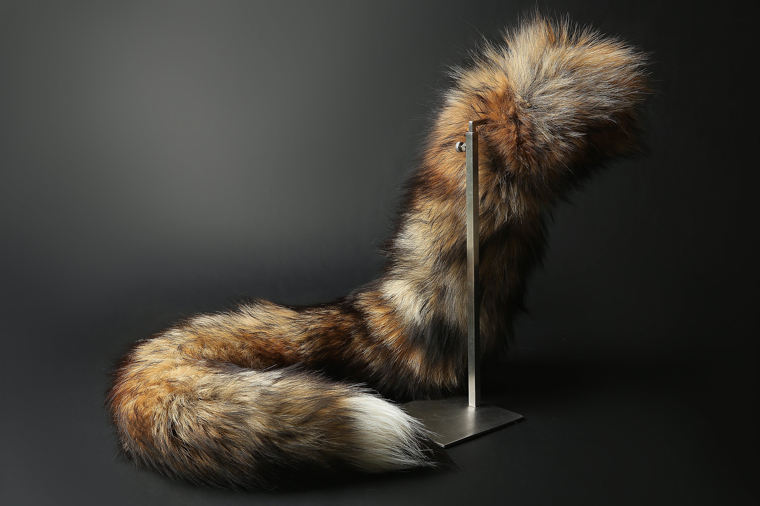 Fox tail plug and ear set - fox ear and tail buttplug - wolf tail butt Aliriga Fox tail plug and ear set - fox ear and tail buttplug - wolf tail butt Aliriga