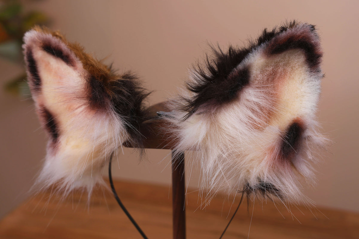 Red merle border collie dog tail and ear faux fur red border collie dog ear and tail butt plug anime cosplay therian puppy ear and tail kemonomimi