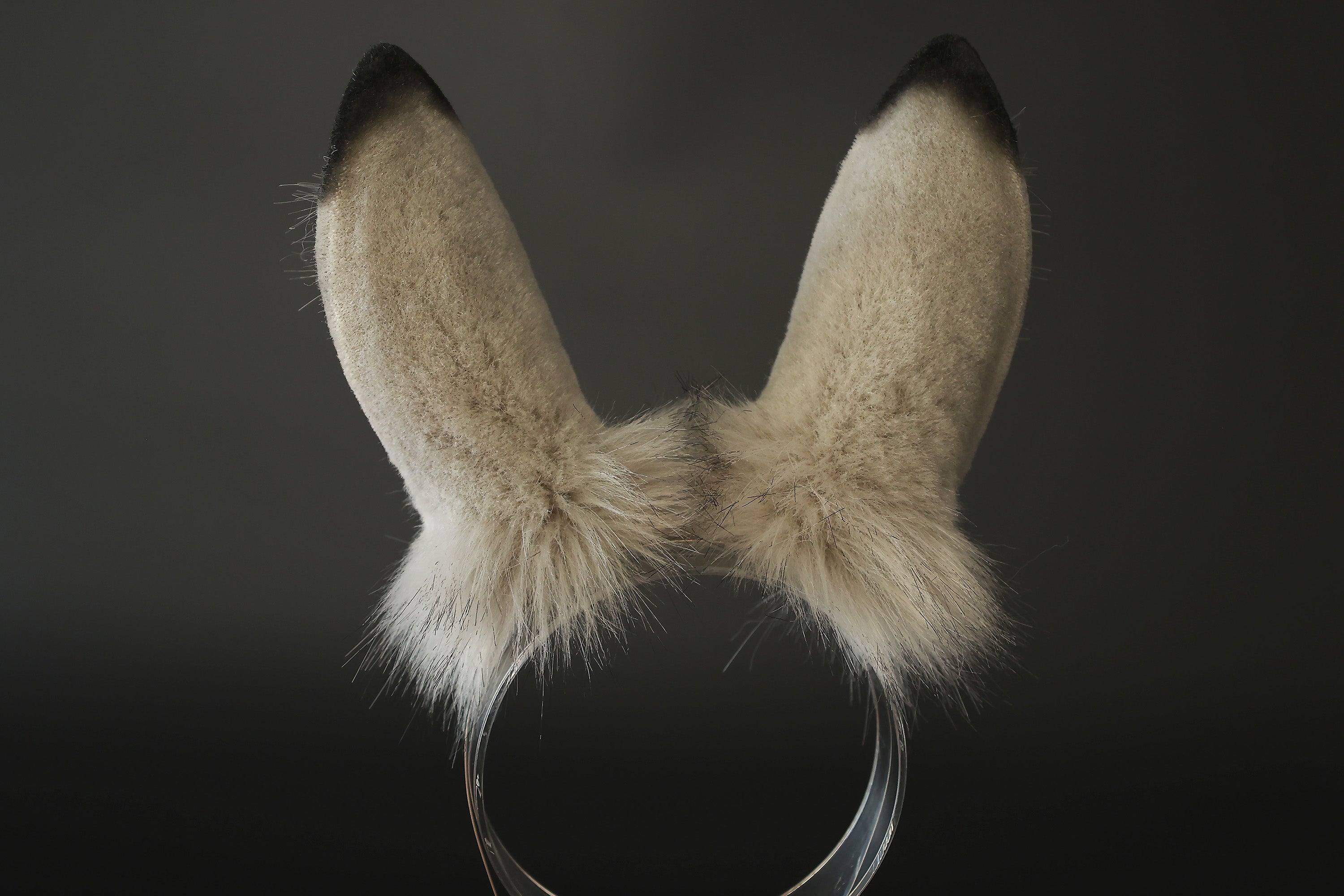Realistic faux fur bunny ear and tail butt plug bendable bunny ear cosplay gray rabbit ear and tail neko ear petplay anime cosplay bunny kemonomimi