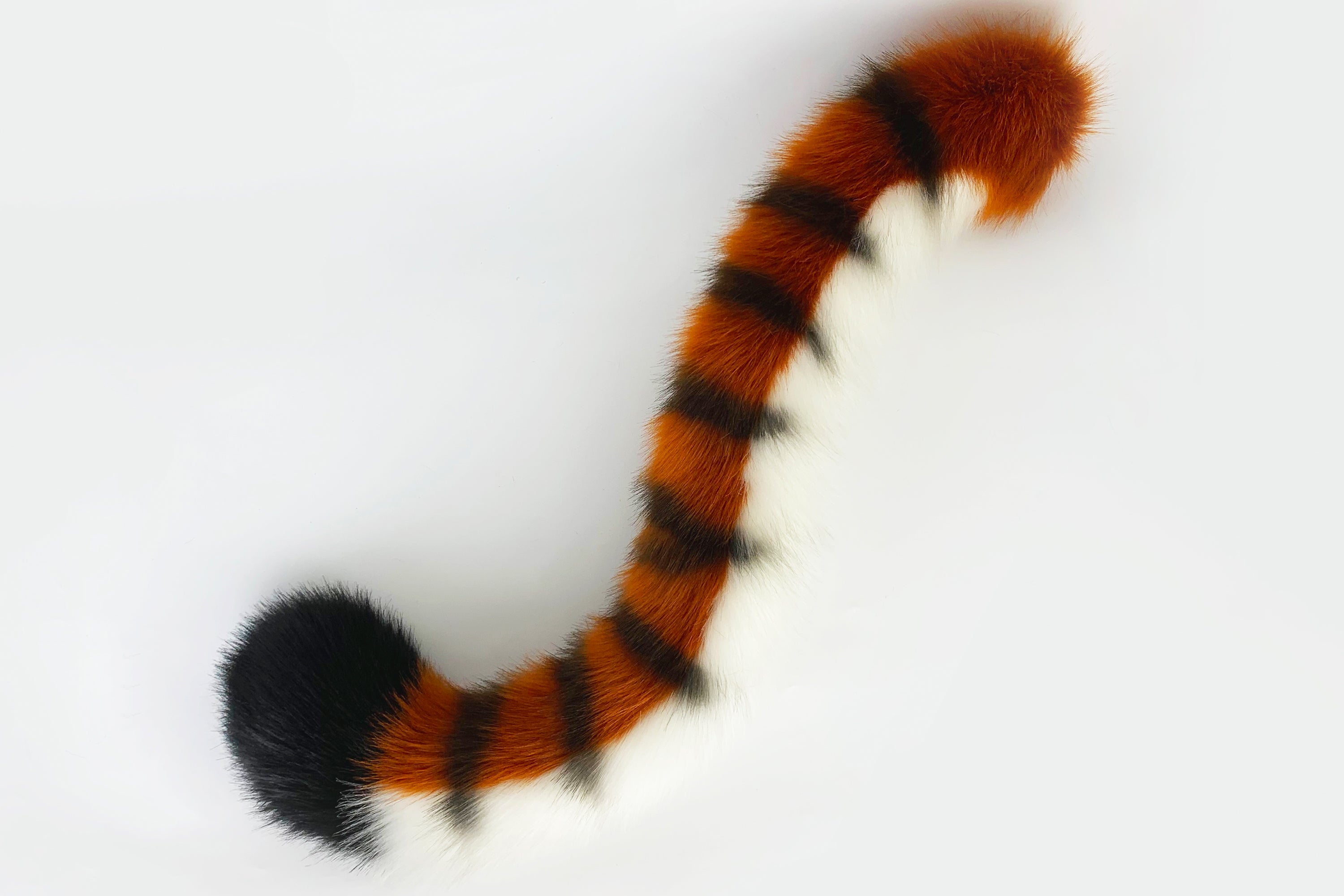 Tiger ear and tail