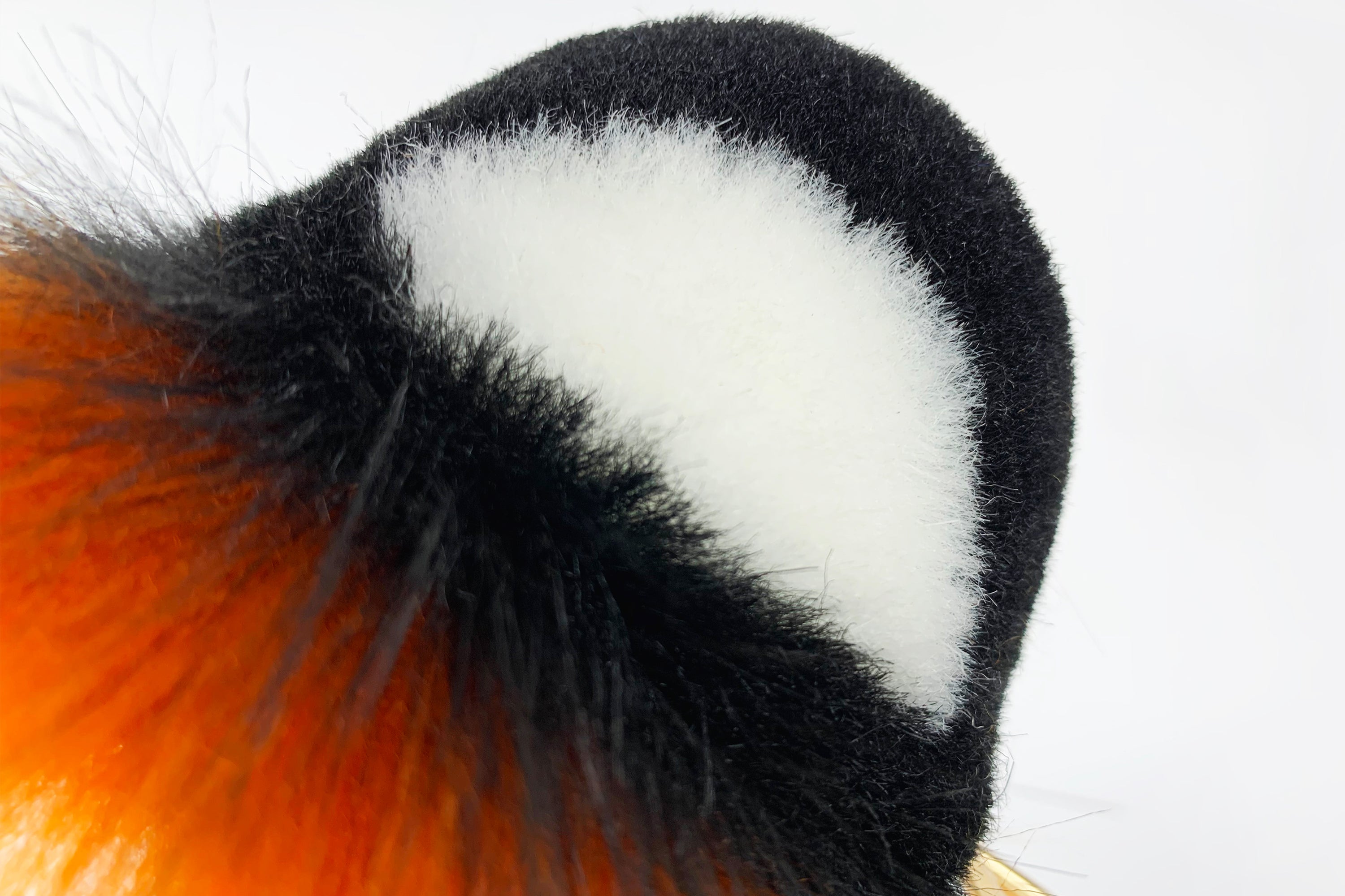 Tiger ear and tail